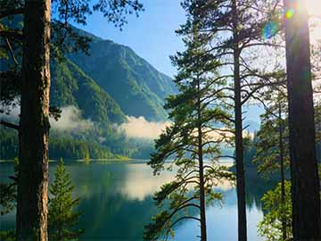 老人突发晕厥平躺急救处理注意事项