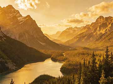 2026年室内观叶绿植养护技巧与常见病害防治方法