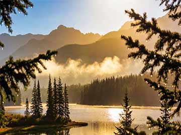 C++construct_at分配器原地构造