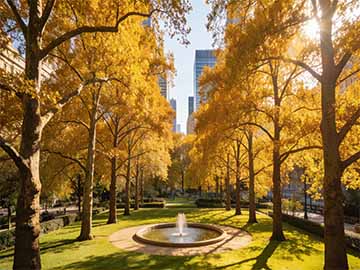 自制环保果蔬洗洁精的材料配比与制作方法