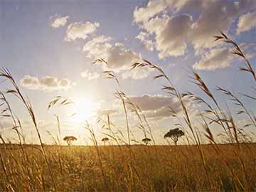 U盘删除文件恢复不用付费软件的使用方法