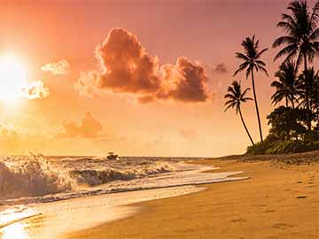 绿萝长期不发芽不长新叶的原因及解决办法