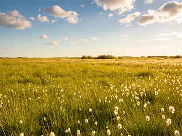 C++随机访问范围RandomAccessRange