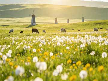 C++select_on_container_copy_construction