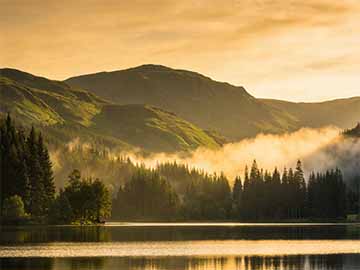 家庭阳台无土栽培生菜菠菜简单种植步骤