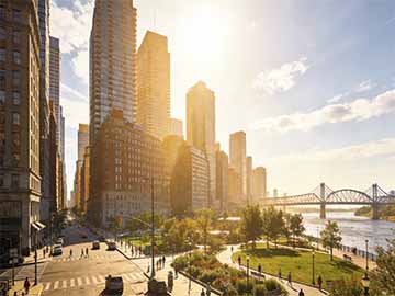 绿萝长期不发芽不长新叶的原因及解决办法