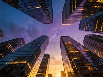 新手客厅大型绿植选购指南与摆放位置风水讲究