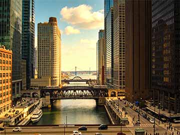 新手客厅大型绿植选购指南与摆放位置风水讲究