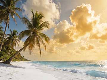 沙尘暴天气防护口罩佩戴关好门窗