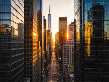 家庭阳台无土栽培生菜菠菜简单种植步骤