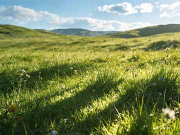 Windows11开机自启软件关闭提升速度方法