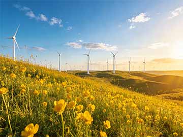 奖状证书收纳保存不褶皱技巧讲解