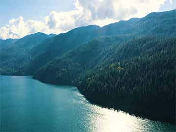 观赏鱼喂食量次数控制避免撑死方法