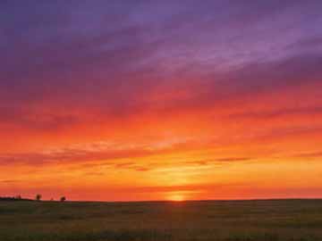 HTML link 预连接 preconnect 详解