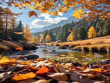 2026年公园晨练适合运动项目推荐