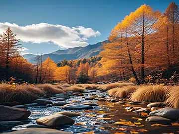 食用油保存避免氧化哈喇味方法讲解