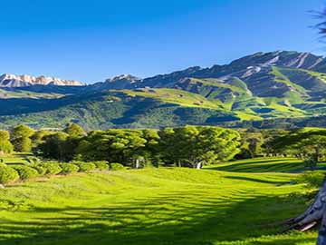 C++views::join扁平化嵌套序列