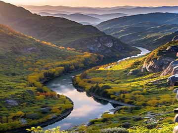 绿萝长期不发芽不长新叶的原因及解决办法