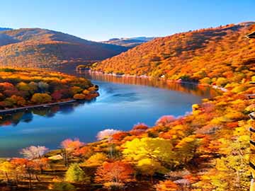 网购商品质量问题维权投诉方法讲解