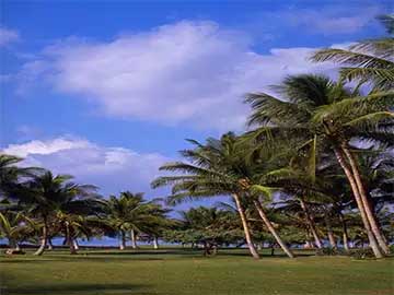 大米储存防虫防霉变长期保存技巧