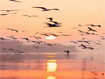 书签制作简单手工创意制作方法教程