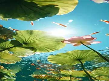 智能手机卡顿反应慢深度清理不删除照片教程