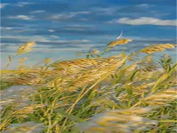 食用油保存避免氧化哈喇味方法讲解