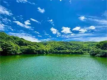 家用面粉保存防虫防潮不结块方法