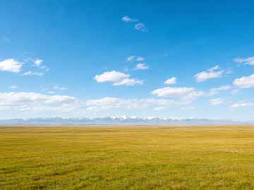 CSS backdrop-filter毛玻璃效果：从原理到实战应用