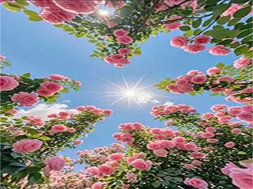 相册照片整理分类收纳防潮方法讲解