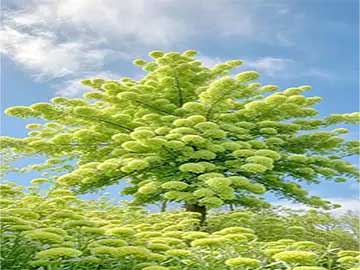 普拉提收紧核心塑形简单动作教程