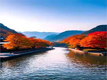 相册照片整理分类收纳防潮方法讲解