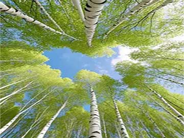 瑜伽基础入门拉伸放松动作详细讲解