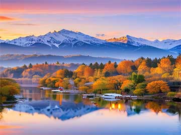 Windows11开机自启软件关闭提升速度方法