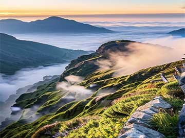 干货香菇木耳保存泡发清洗方法教程
