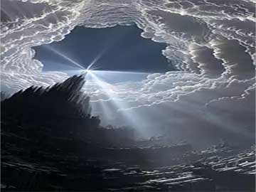 小葱在家阳台四季种植不断采收的管理技巧