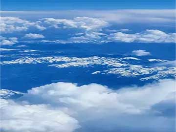 干货香菇木耳保存泡发清洗方法教程