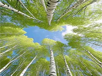 呼啦圈瘦腰收腹正确使用方法教程