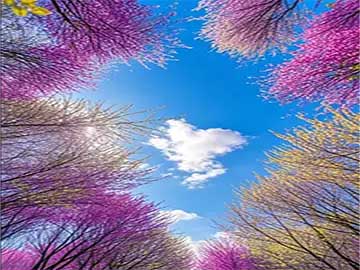 2026年室内观叶绿植养护技巧与常见病害防治方法