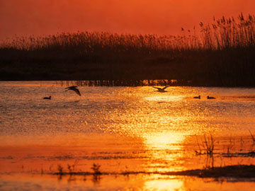 VS Code 界面布局自定义配置全攻略