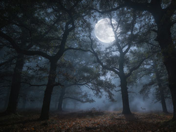 VS Code 代码片段创建与使用全解析