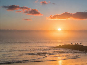 VS Code 迷你地图显示控制：提升编码效率的实用技巧