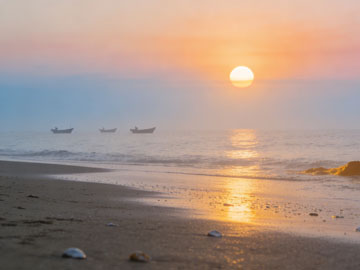 JS 代码冲突：从问题到解决方案