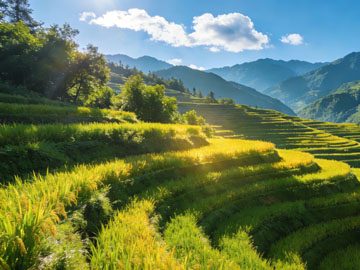 Python字典增删改查实战全解析