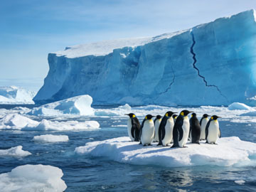 深入解析Python函数定义与参数传递