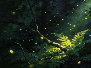 HTML 字符编码 UTF-8 解析