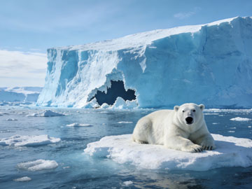 深入解析 JS 模块化之 ESModule