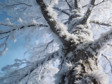 HTML rel=preconnect 与 dns-prefetch 详解