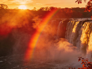 VS Code 扩展插件安装与管理全攻略