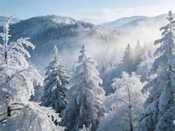 JS内存泄漏排查指南：发现与修复